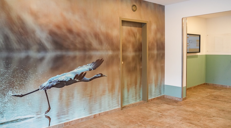 Bauen im Norden der Stadt